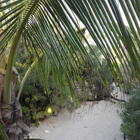 Eco Lodge Hotel Villa Tulum Exterior photo